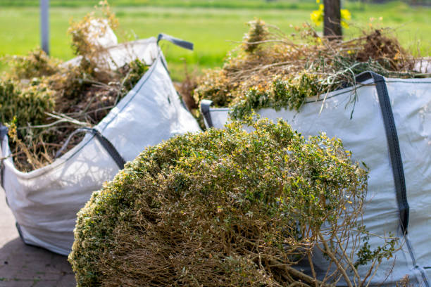 Best Residential Junk Removal  in Edwardsvle, IL